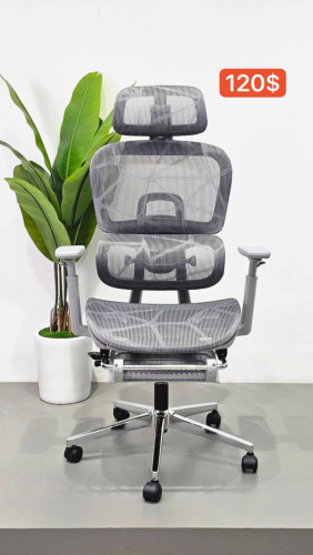 Ergonomics Chair