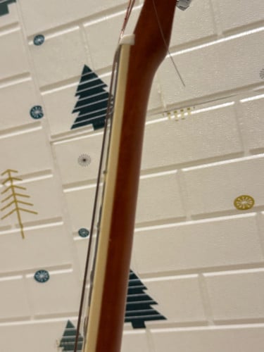 Guitar Cate Brand