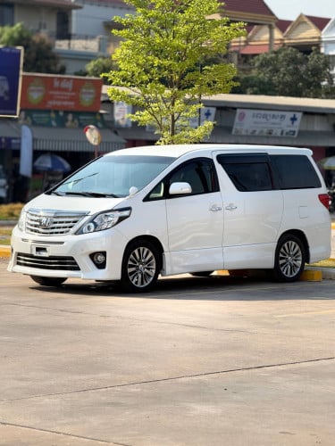 Toyota Alphard 2013 Option Type Gold