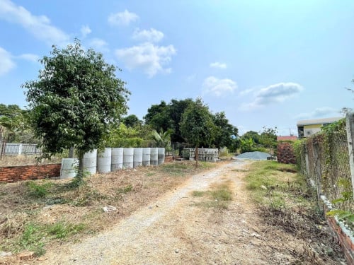 ដីលក់បន្ទាន់ ក្បែរសាលាបឋមសិក្សារបោះអង្កាញ់