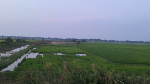 ត្រឹមតែ $8 / ម៉ែត្រការ៉េ ប៉ុណ្ណោះ (អាចចរចាបាន)