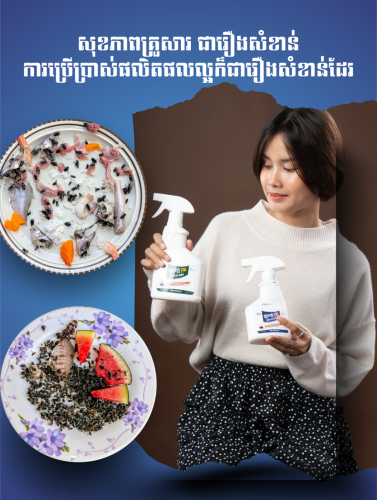 ទឹកថ្នាំបាញ់រុយ ហ្វេសបុក Daily Fly Cambodia