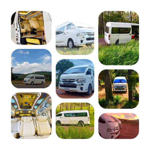Car for rent VIP premium nice