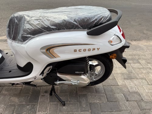 Honda Scoopy Prestige 2026 ថ្មីក្រុមហ៊ុន