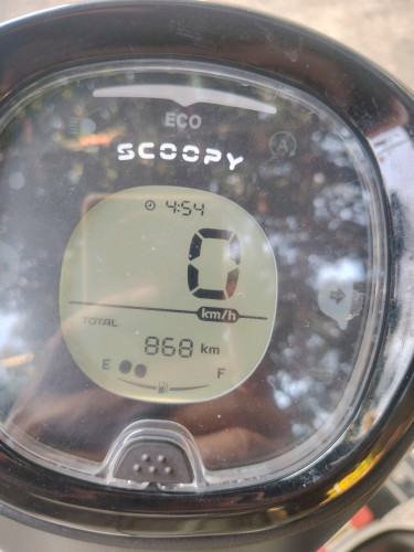 Honda scoopy2025