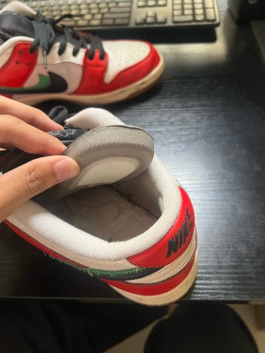 Sb Dunk Low Habibi