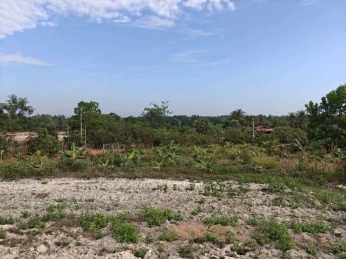 ផ្ទះត្រចៀកកាំលក់ នៅតាអុក កោះកុង