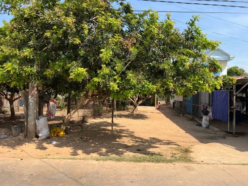 ដីលក់បន្ទាន់