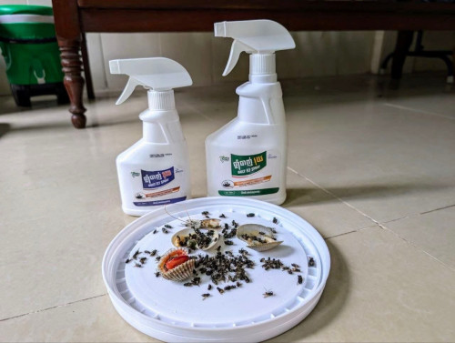 ទឹកថ្នាំបាញ់​ រុយ