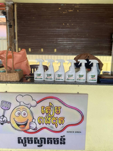 ទឹកថ្នាំបាញ់ រុយ