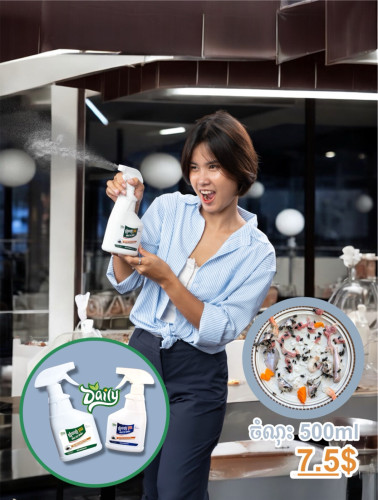 ទឹកថ្នាំបាញ់ រុយ