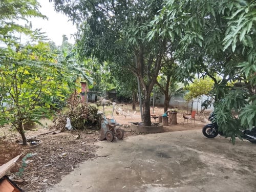 ដីលក់នៅជិតផ្សារព្រែកឯក
