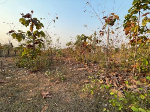 🏦Land Available for Urgent Sale at a Special Price (Negotiable).