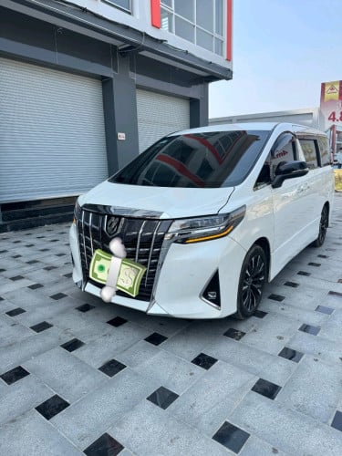 Alphard V4 pog1 2010 hfull 2CA