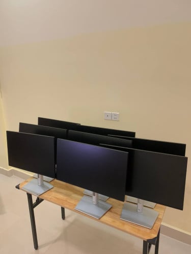 Dell Monitor P2422h Year 2025
