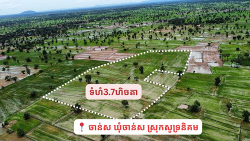 ដីលក់បន្ទាន់ សៀមរាបព្រលានថ្មី