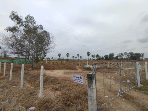 ដីលក់ជិតវត្តស្វាយផ្អែម