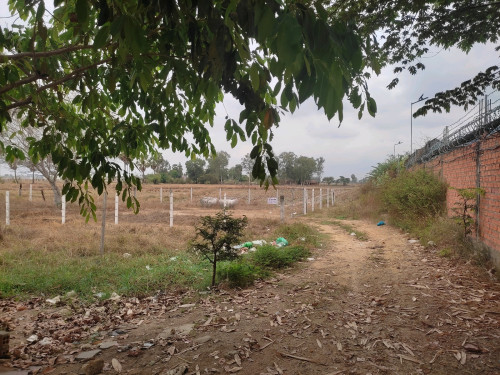 ដីលក់ជិតវត្តស្វាយផ្អែម