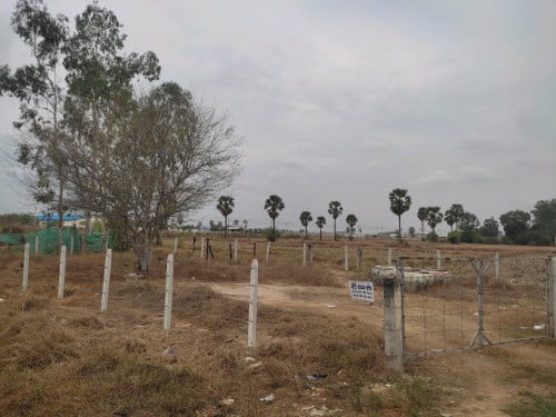 ដីលក់ជិតវត្តស្វាយផ្អែម