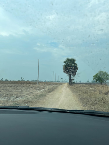 ដីជួលទីតាំងគំរោងផ្លូវ៣០ម៉ែតជិតវត្តព្រៃវែង