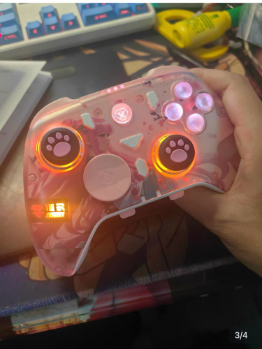 ដៃតេលេលេងហ្គេម(Controller)