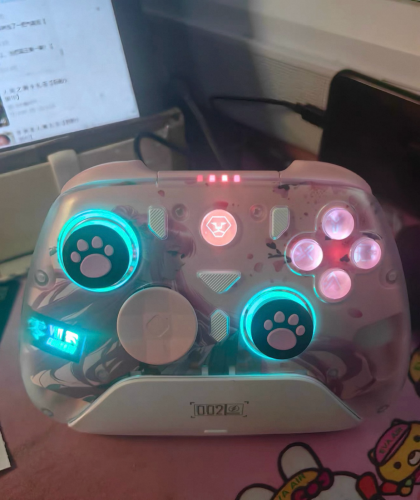 ដៃតេលេលេងហ្គេម(Controller)