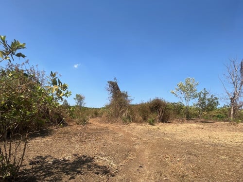 🏦Land Available for Urgent Sale at a Special Price (Negotiable).