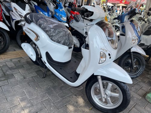 Honda scoopy Pres 026