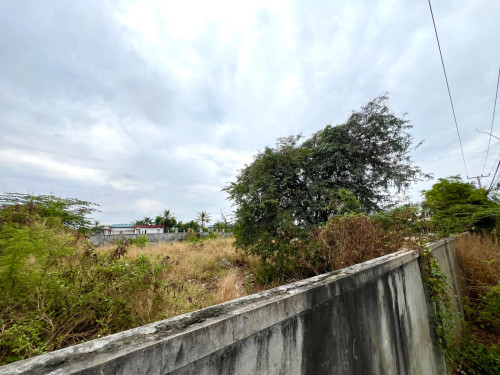 Land for Sale at Dangkao