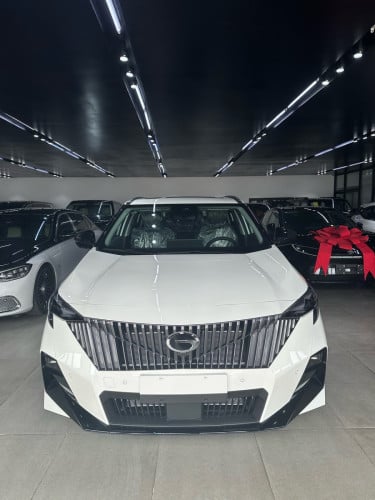 Option full GS3 2026 sensor 12