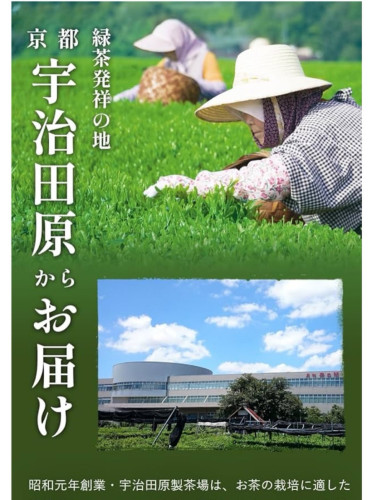 Yamagi Bussan Matcha tea bag, Made in Japan 山城物産