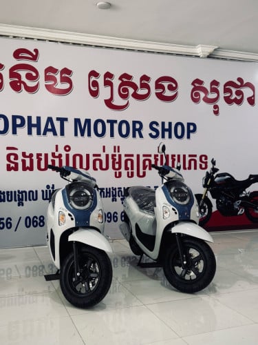Honda Scoopy Club smart key (Tax paper)