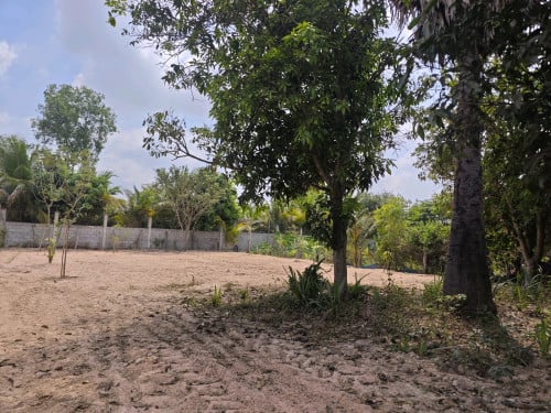 ដីសម្រាប់ជួរបើកហាងកាហ្វេ, ភោជនីយដ្ឋានបែបលក្ខណៈលំហាយ