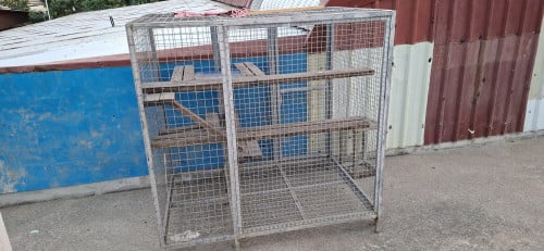ចង់លក់ចោលចង្អៀតផ្ទះ