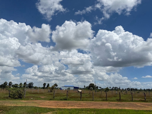 ដីលក់បន្ទាន់ម្ចាស់ផ្ទាល់
