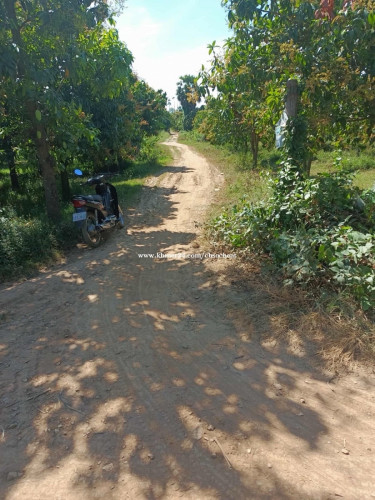 ដីលក់បន្ទាន់ម្ចាស់ផ្ទាល់