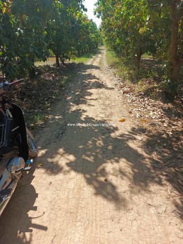 ដីលក់បន្ទាន់ម្ចាស់ផ្ទាល់