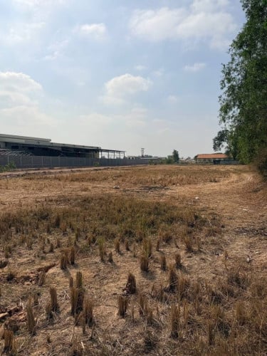 #បាទី​ ទំហំដី​ 20m x 45m តម្លៃត្រឹមតែ​ 22000$ (ចរចា)