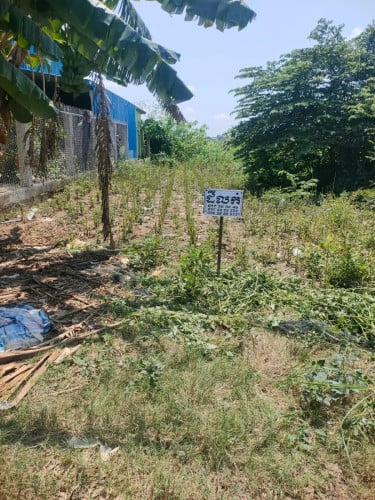 ដីលក់ 38500$ ចចារ 8m x 35m