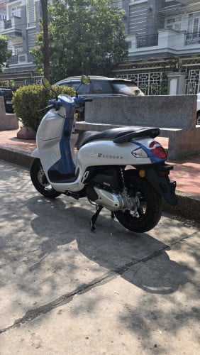 🏍Honda Scoopy 2026