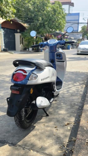 🏍Honda Scoopy 2026