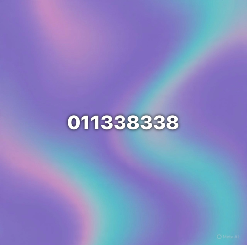 011338338
