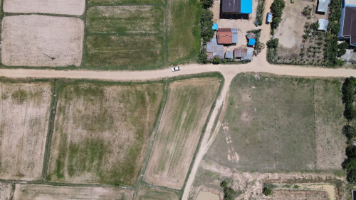 ដីលក់នៅជិតផ្លូវ ៤១