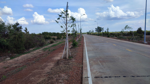 ដីលក់នៅផ្លូវ ៦០ ម៉ែត្រ ក្បែរបុរីភូមិបាគង ខេត្តសៀមរាប (ម្ចាស់ផ្ទាល់)