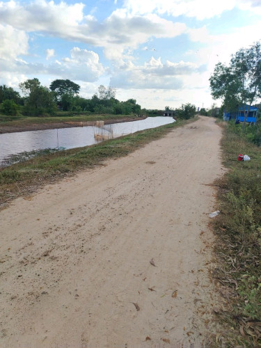 ដីលក់បន្ទាន់ ផ្សារដេីមម៉ូយ