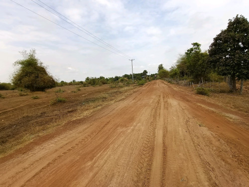 #ដីក្បាលវែងស្អាតណាស់