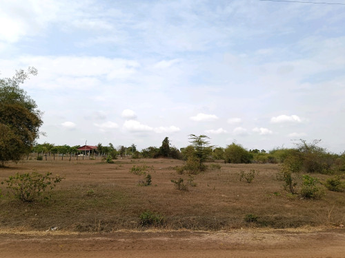 #ដីក្បាលវែងស្អាតណាស់