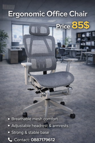 Ergonomics Chair
