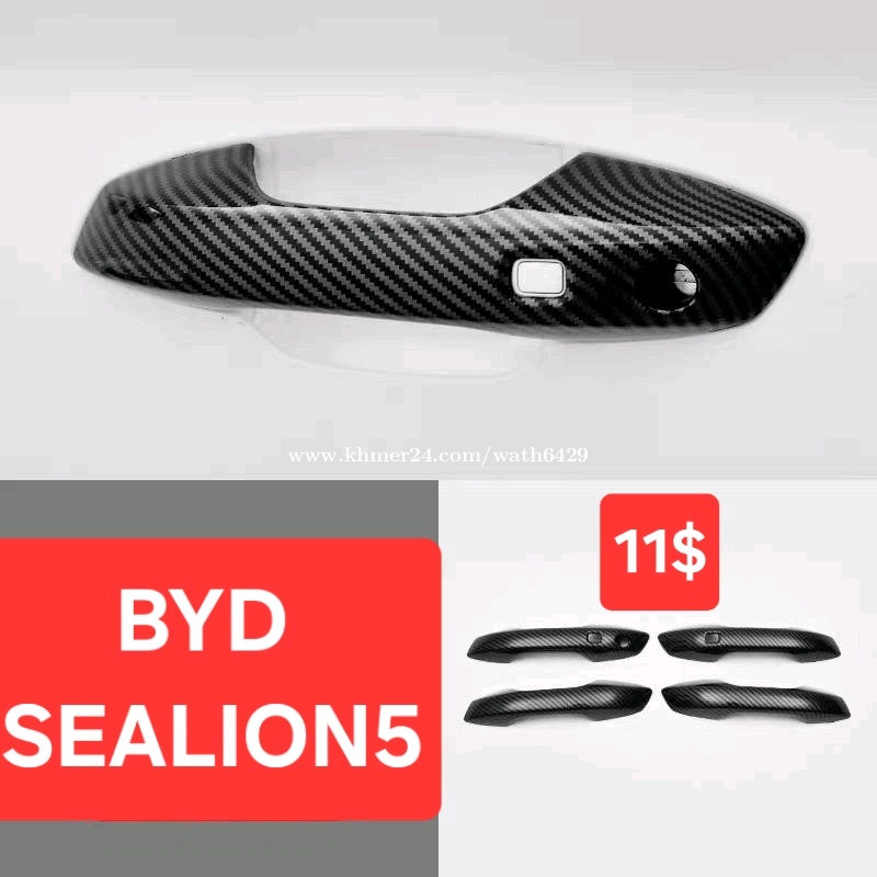 BYD SEALION5 គំរបដៃទ្វារ ពណ៌កាបោន