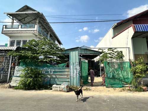 ដីនៅជិតអូដឹម